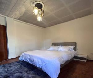 亚的斯亚贝巴A Spacious 4BR 2 Bathroom Villa House @ Bole DT的卧室设有一张白色大床和天花板