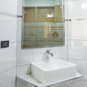 瓦努科Terra Premium Hotel的白色的浴室设有水槽和镜子