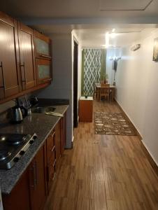 艾因苏赫纳porto sokhna Pyramids Apartment Familis的铺有木地板的厨房,配有木制橱柜。