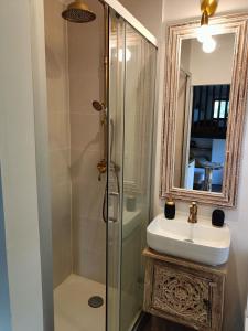 圣保罗Tiny house au lagon的带淋浴、盥洗盆和镜子的浴室