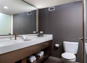 拉斯维加斯The STRAT Hotel, Casino & Tower的一间带水槽、卫生间和镜子的浴室