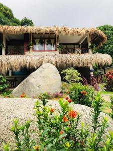 埃尔扎伊诺Hotel talú tayrona的草屋顶的房子和鲜花盛开的花园