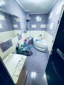 弗洛雷什蒂Stejarului Apartament的带浴缸、卫生间和盥洗盆的浴室