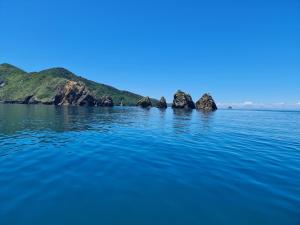 布伦海姆Tō Tātou Kainga的水中一群岩石