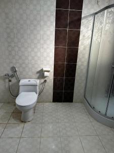 欧拉مبيت نسيم الجبل的一间带卫生间和淋浴的浴室