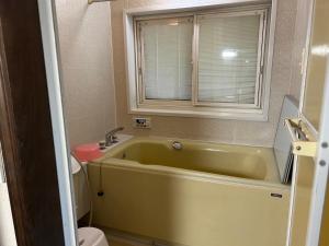 各务原市Shin-SHIN-Kakamigahara - Vacation STAY 16114的一间带绿色浴缸和窗户的浴室