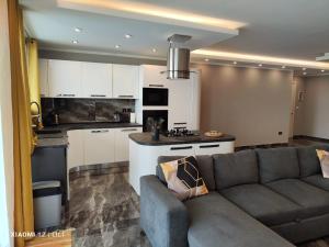 萨奈特Luxury Sanap Heights apartment with communal pool的带沙发的客厅和厨房