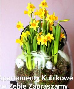 扎布Pokoje Kubikowe的装满黄色水仙花和岩石的花瓶