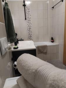 霍茨科波霍尔耶Luxury Wide View Apartment Pohorje Bellevue的一间带水槽、卫生间和淋浴的浴室