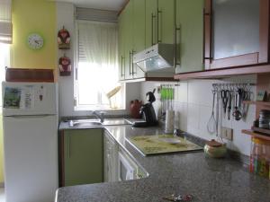 福斯Apartamento en Foz Entreplayas的厨房配有绿色橱柜和白色冰箱