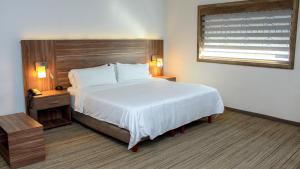 奥夫雷贡城Holiday Inn Express & Suites - Ciudad Obregon, an IHG Hotel的酒店客房设有床和窗户。