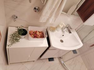 贝尔格莱德Tsar Dušan Apartment的一间带水槽和一碗食物的浴室