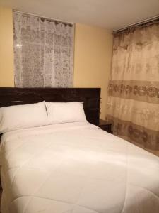 普诺HOSTAL SUIT ANDINA的卧室设有一张白色大床和一扇窗户。