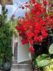 卡佩斯特雷贝勒奥Ti bwa Lodge的挂在白色门上的一束红色花