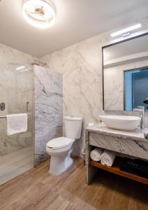 瓜达拉哈拉戴安娜广场酒店的一间带卫生间、水槽和镜子的浴室