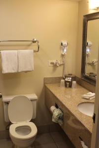 沃基根沃基根红屋顶客栈的一间带卫生间、水槽和镜子的浴室