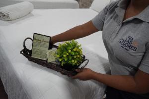 圣萨尔瓦多Villa Las Flores的把一篮鲜花放在床上的人