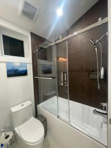 温哥华south vancouver guesthouse的一间带卫生间和玻璃淋浴间的浴室