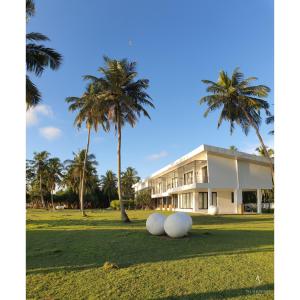 本托塔Green Turtle Villa by The Serendipity Collection的一座建筑前面的草地上三个大的白球