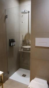 布雷西亚Hotel Battisti 31的一个带玻璃门和水槽的淋浴