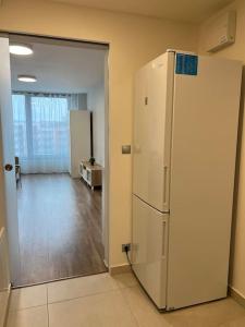 布拉格Comfort flat with great location的走廊里的白色冰箱