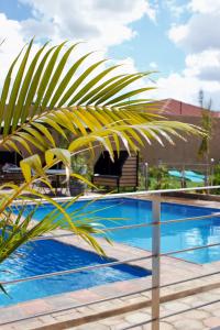卢萨卡Milestone Hotels的游泳池旁的棕榈树