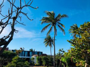 绥和市Homestay Phú Yên - Tuy Hòa - Long Thủy Song Ngư House的一群棕榈树在一座建筑前