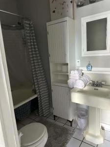 拉斐特Clinton House的浴室配有卫生间、盥洗盆和淋浴。