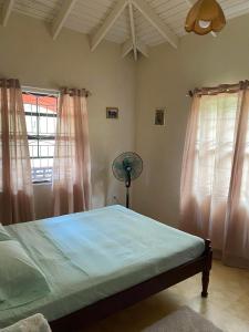 UnionImmaculate 3 Bed Villa & Studio Apartment的一间卧室配有一张带粉红色窗帘的床和风扇