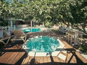 阿默达拉-伊拉克利翁Georgia's Garden by Omilos Hotels的一个带椅子和桌子的游泳池以及一棵树