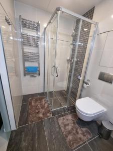 布拉格Comfort flat with great location的带淋浴和卫生间的浴室