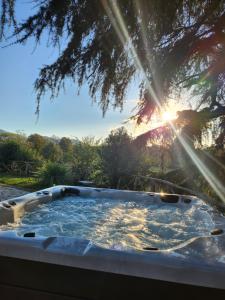 维托尔基亚诺Villa Arzilla Antica Residenza di campagna的阳光照耀着树的热水浴池