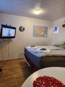 凯夫拉维克Pokój z prywatną łazienką i kuchnią z hot pot的客房设有两张床和一台平面电视。