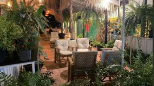 苏梅岛Premium Party Hostel的一间房间,摆放着一束椅子和植物