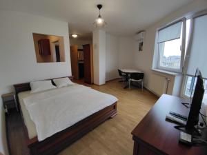 比亚韦斯托克Apartamenty Centrum的一间卧室配有一张床和一张书桌及电视
