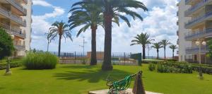 拉皮内达For a Stay Pineda Mar的种有棕榈树的公园和草地上的长凳