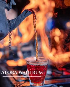 瓦迪拉姆Alora Wadi Rum Luxury的相册照片