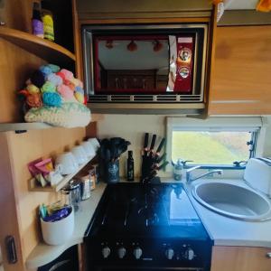 波特里Kintyre Caravan的厨房配有水槽和微波炉