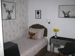 因弗内斯Fairfield Townhouse Guest House Selfcatering的卧室配有一张带书桌的床,墙上挂着鹿头