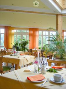 Thurmansbang舒尔格活力保健酒店的用餐室设有桌椅和窗户。