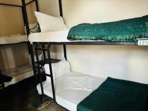 阿鲁沙Arusha Backpackers Hotel的客房内的两张双层床