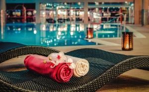 斯利亚奇Wellness & Spa Hotel Kaskady的游泳池旁的娃娃坐在椅子上