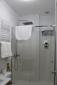 阿维拉Serendipia的带淋浴和玻璃淋浴间的浴室