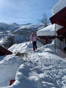 海姆瑟达尔Roni Chalet Hemsedal - Holdeskaret的雪中行走狗的女人
