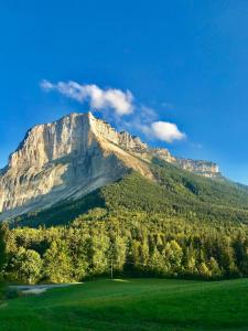 Saint-Jean-dʼArveychambre au calme的绿地中间的山