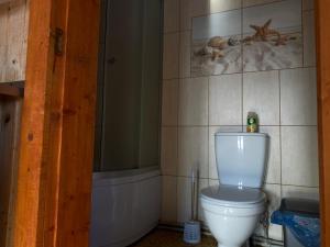 亚布卢尼齐亚Котедж Краєвид的浴室配有白色卫生间和淋浴。