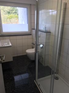 多特蒙德Wohnung in Dortmund Nähe Phönix See的一间带卫生间和玻璃淋浴间的浴室
