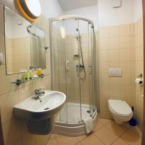 格但斯克加利恩酒店的带淋浴、盥洗盆和卫生间的浴室