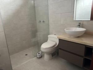 布卡拉曼加Casa Chalet en Lagos del Cacique的浴室配有卫生间、盥洗盆和淋浴。