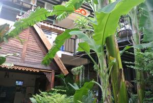 曼谷生态之家民宿的前面有一堆植物的建筑